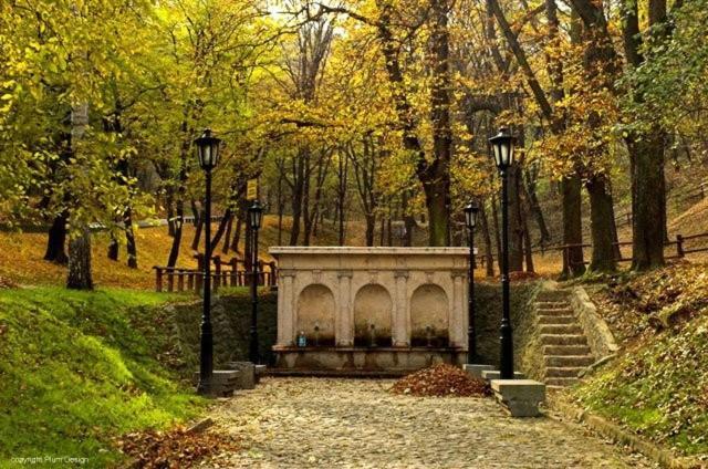 Cozy House *